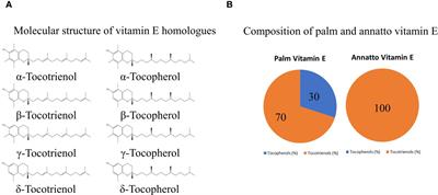 Updates in the skeletal and joint protective effects of tocotrienol: a mini review